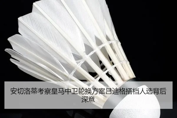 an-qie-luo-di-kao-cha-huang-ma-zhong-wei-lun-huan-fang-an-lv-di-ge-da-dang-ren-xuan-bei-hou-shen-yi-2-995.jpg